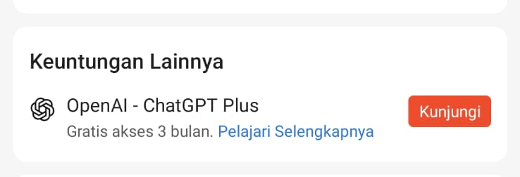 OpenAI ChatGPT Plus